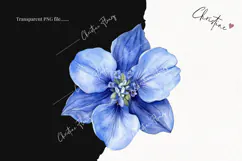 Watercolor Larkspur Flower | Floral Clipart Product Image 2