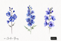 Watercolor Larkspur Flower | Floral Clipart Product Image 1