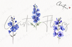 Watercolor Larkspur Flower | Floral Clipart Product Image 3