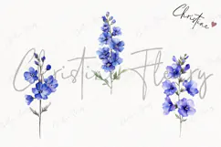 Watercolor Larkspur Flower | Floral Clipart Product Image 3