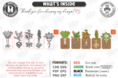 Educational Plant Growth Lifecycle Puzzles Laser Cut Bundle Product Image 9