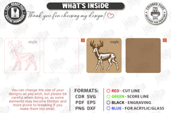 Animal Skeleton Laser Cut Bundle | Anatomy Puzzles | Bones Product Image 3