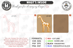 Animal Skeleton Laser Cut Bundle | Anatomy Puzzles | Bones Product Image 9