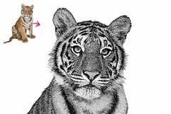 Laser Paint line art Vector Tracing Product Image 4