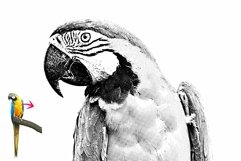 Laser Paint line art Vector Tracing Product Image 2