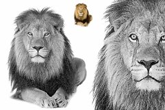 Laser Paint line art Vector Tracing Product Image 11