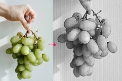 Laser Paint line art Vector Tracing Product Image 5