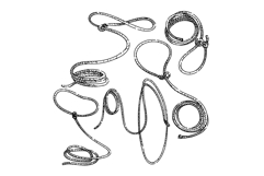 Cowboy ropes forming lasso loops and knots pattern Product Image 1