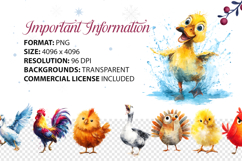 Quirky Poultry Watercolor 40 PNG Clipart Product Image 5