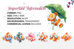 Quirky Clownfish Watercolor Clipart Bundle 44 PNG Product Image 5