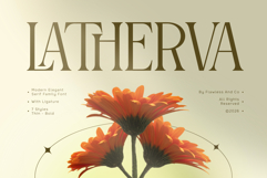Latherva Product Image 1
