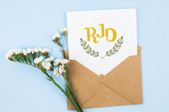 Colored Laurels &amp; Divider | Hand Drawn Leaf Border, Wreath Product Image 6