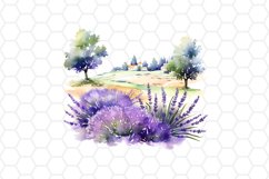 Lavander Field Watercolor Clipart