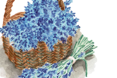 French Garden Watercolor Clipart Bundle Product Image 6