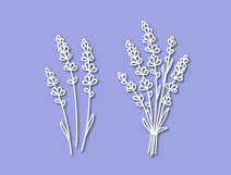 Lavender flowers hand drawn bouquet. Blooming branches SVG Product Image 3