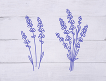 Lavender flowers hand drawn bouquet. Blooming branches SVG Product Image 4