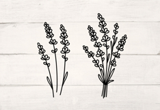 Lavender flowers hand drawn bouquet. Blooming branches SVG Product Image 5
