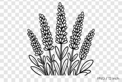 Black ink line art Lavender coloring page PNG Flower illust Product Image 1