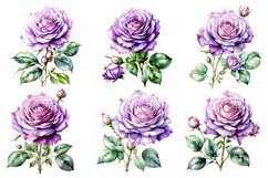 Lavender Color Rose CLIPART FILES Product Image 2