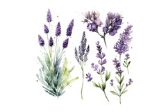 Lavender Collection,Delicate Floral Art,Watercolor,Home Decor,Stationery,Wedding Invitations,High-quality,300 dpi ,Stunning Detail,Rich Colors,Soothing Charm,Romantic Elegance,Lavender Watercolor,Lavender clipart,lavender border,lavender flowers png,laven