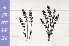 Lavender flowers hand drawn bouquet. Blooming branches SVG Product Image 1
