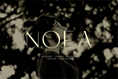 Lavioh - Sans Serif Contemporary Font Product Image 3