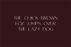 Lavioh - Sans Serif Contemporary Font Product Image 7
