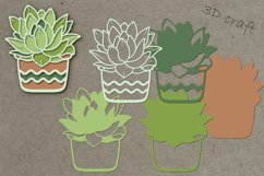 Layered succulents. 3D craft Product Image 4