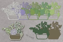 Layered succulents. 3D craft Product Image 5