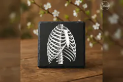 The Ivory Cage Anatomy Laser Engraving PNG Product Image 2