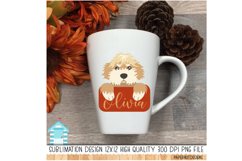 Bernedoodle Dogs Pocket Sublimation Designs Product Image 4