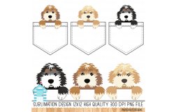 Bernedoodle Dogs Pocket Sublimation Designs Product Image 3