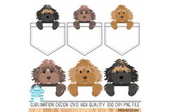 Labradoodle Dogs Pocket Sublimation Designs Product Image 5