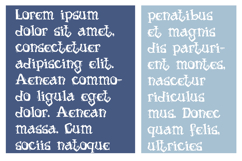 Pirate Shivers Font Family Product Image 3