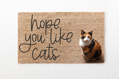 Jasmine Sugar - Modern Script Font Product Image 14