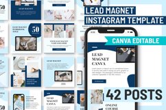 Lead Magnet Instagram Post Template, Lead Magnet Kit Product Image 10