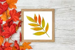 Set of 3 Watercolor Fall Prints | Autumn Leaves | Wall Art Product Image 3