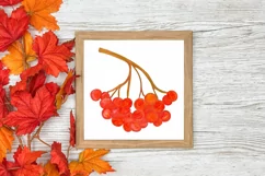 Set of 3 Watercolor Pumpkin Prints | Wall Art Prints Product Image 3