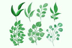 Leaf Watercolor Bundle Product Image 2
