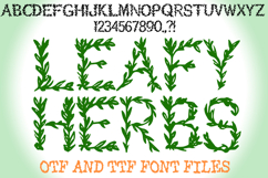 Leafy Herbs Alphabet Lettering ABC Plant Text Font OTF by Squeeb Creative