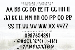 Learning Authentic Product Image 5