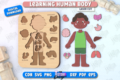 Learning Human Body Laser Cut | Kid’s Puzzle | Anatomy Game Product Image 1