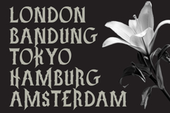 Leathess - Blackletter Font Product Image 5
