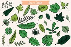 Hand Drawn Leaves Color | Tropical Foliage Plant Product Image 5