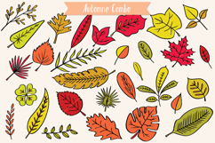 Hand Drawn Leaves Color | Tropical Foliage Plant Product Image 6