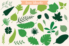 Hand Drawn Leaves Color | Tropical Foliage Plant Product Image 8