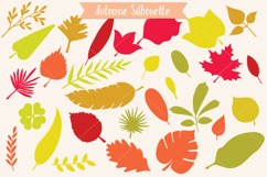 Hand Drawn Leaves Color | Tropical Foliage Plant Product Image 9