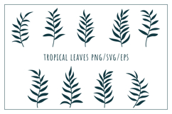 Tropical leaves silhouettes PNG/SVG/EPS Product Image 1