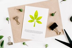 Modern geometric leaves low poly design concept Product Image 3