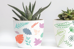 Hand Drawn Leaves Color | Tropical Foliage Plant Product Image 2